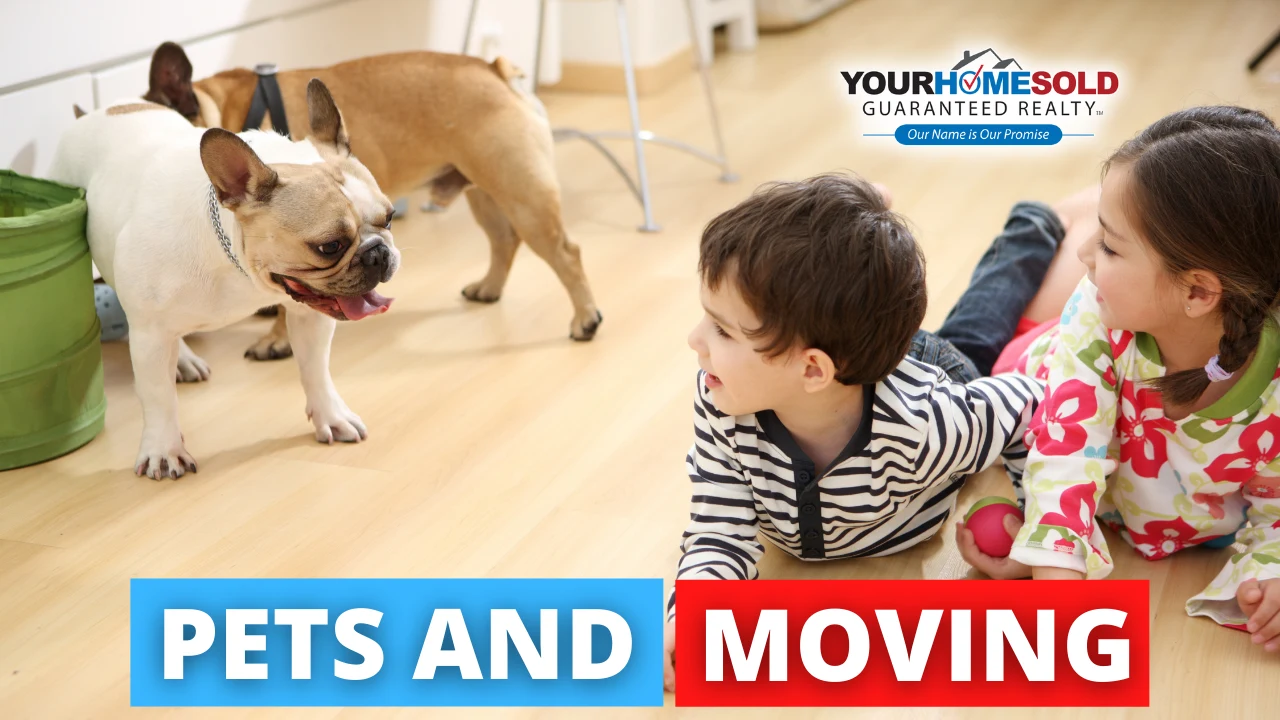 Tips to Make Your Pets More Comfortable During Your Move